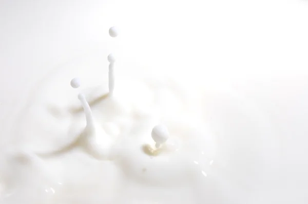 Süt damla — Stok fotoğraf