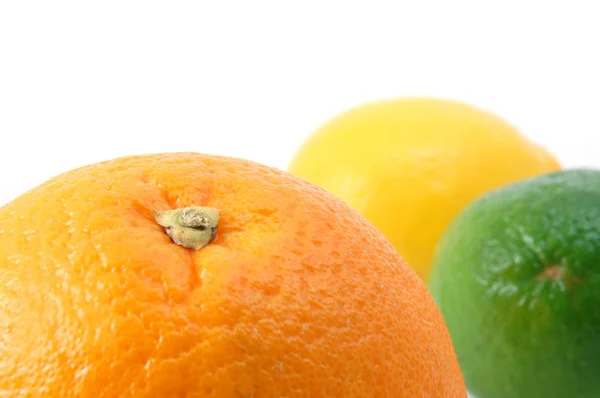 Naranja limón y cítricos —  Fotos de Stock
