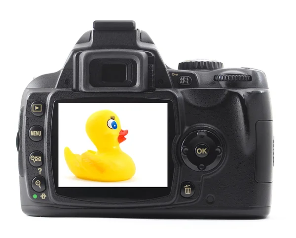 Toy duck on camera — Stock Photo, Image