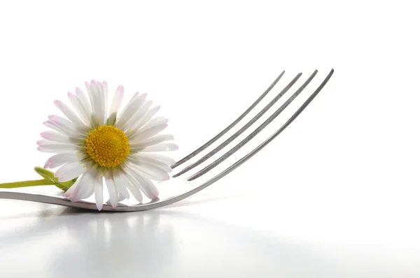 Fleur et fourchette — Photo