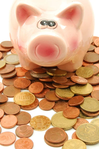 Sparschwein und Geld — Stockfoto