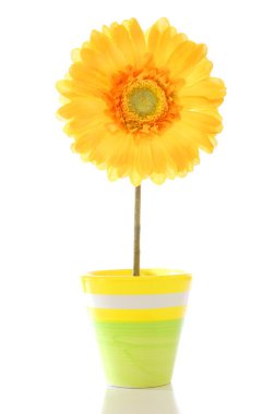 Flower in pot clipart