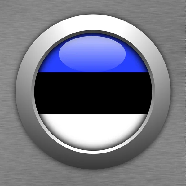 Estonia button — Stock Photo, Image