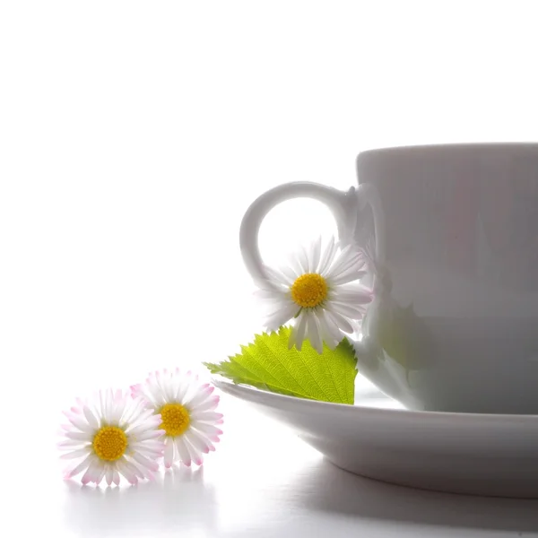 Tasse de thé ou de café — Photo