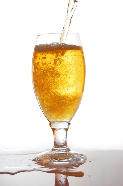 Bicchiere di birra fresca — Foto Stock