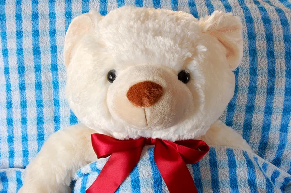 Ziek teddy bear — Stockfoto