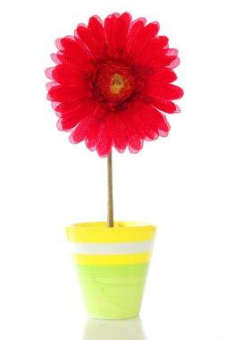 Flower in pot clipart