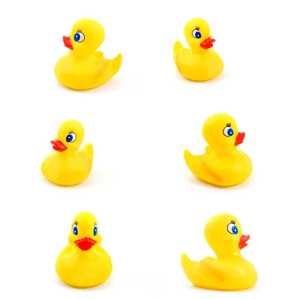 Toy rubber duck — Stock Photo, Image