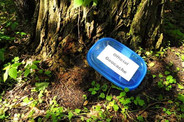 Offizieller Geocache — Stockfoto