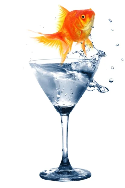 Goldfish in glass water — Stock Photo, Image