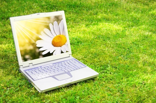 แล็ปท็อปและดอกไม้ — ภาพถ่ายสต็อก