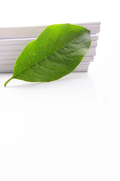 Kağıt Yaprağı — Stok fotoğraf