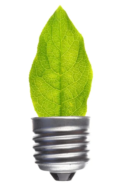Bilb an leaf — Stock Photo, Image
