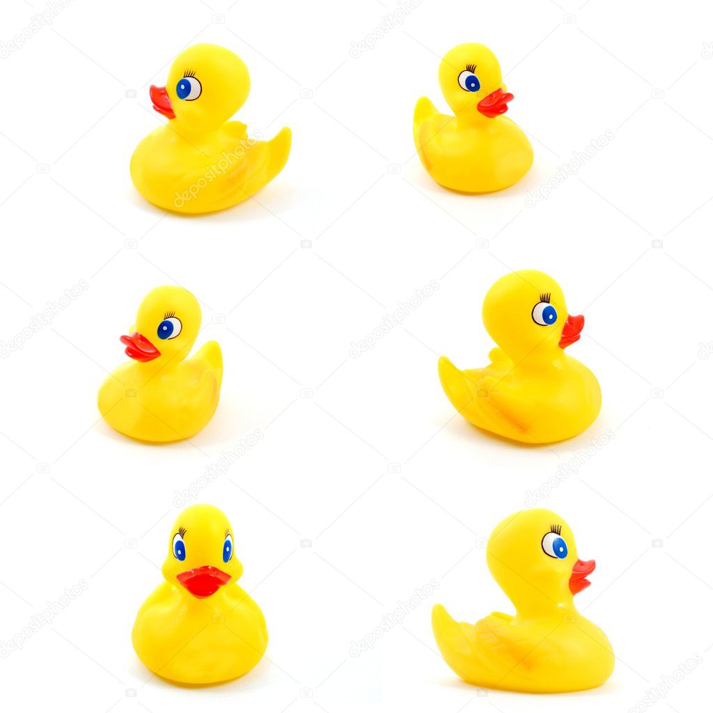 Toy rubber duck
