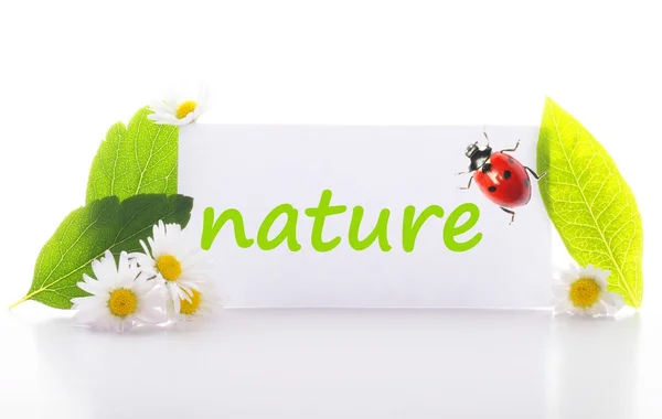 Nature — Stock Photo, Image