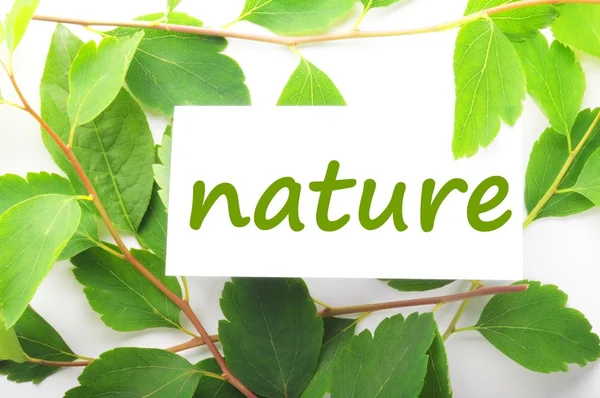 Naturaleza —  Fotos de Stock