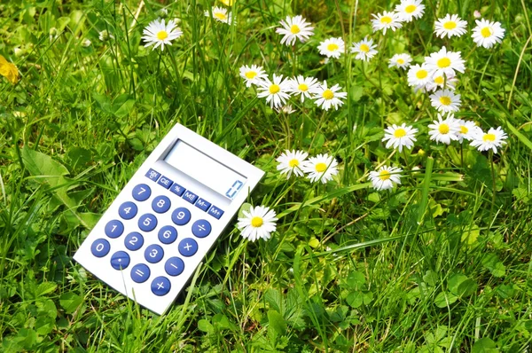 stock image Ecological accounting