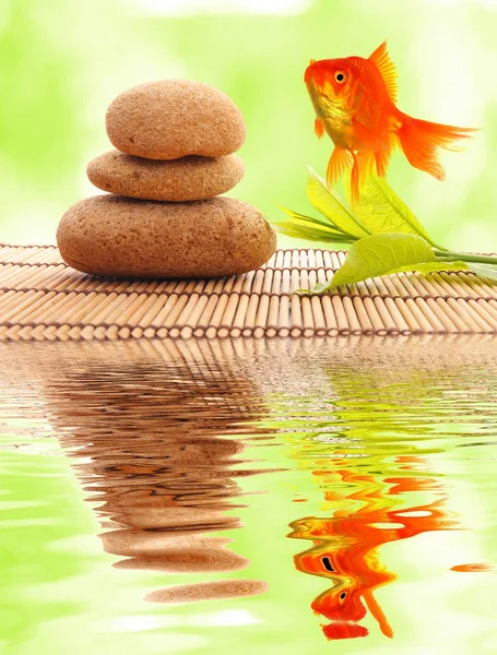 Zen ou spa — Fotografia de Stock