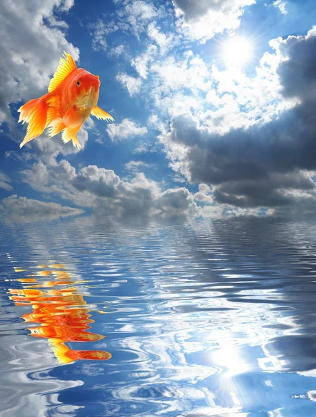 Modrá obloha a zlatá rybka — Stock fotografie