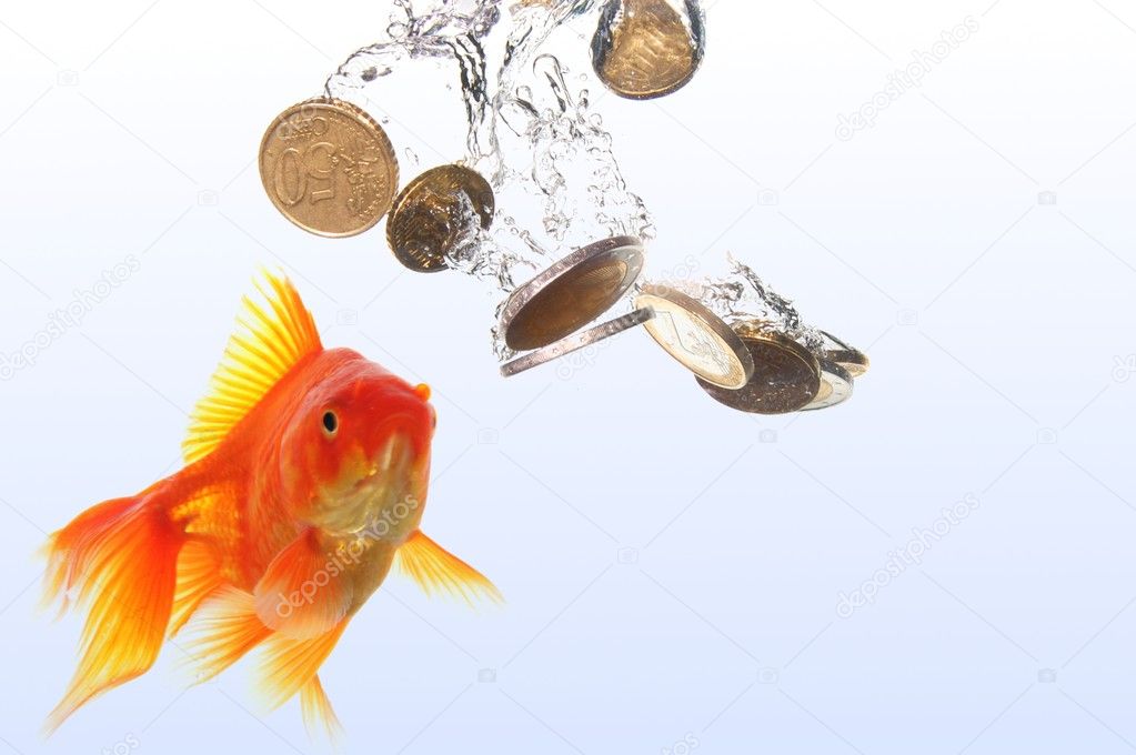 Goldfish and money