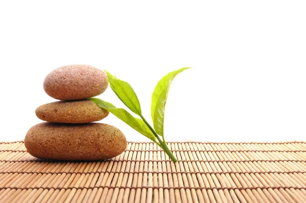 Zen pilha ou torre com folha de verão verde mostrando spa ou bem-estar — Fotografia de Stock