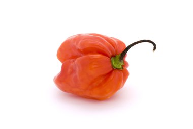 Red scotch bonnet chilli pepper clipart