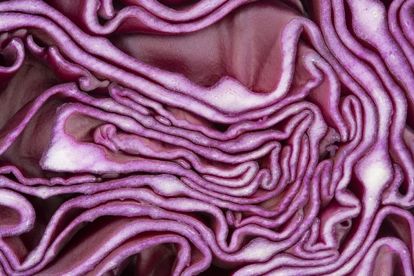 stock image Macro of red cabbage section