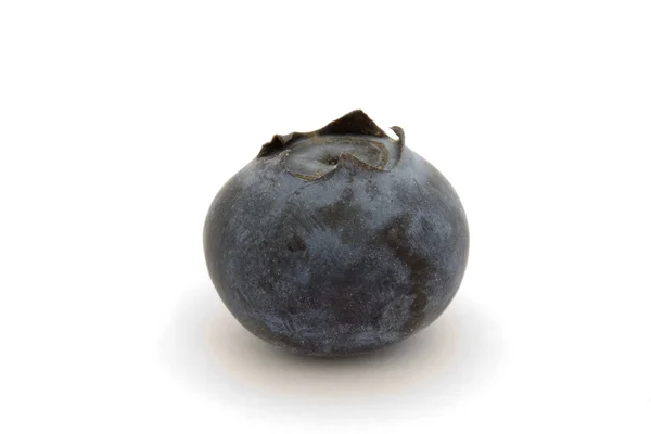 Single blueberry isolated on white — Stock Photo, Image