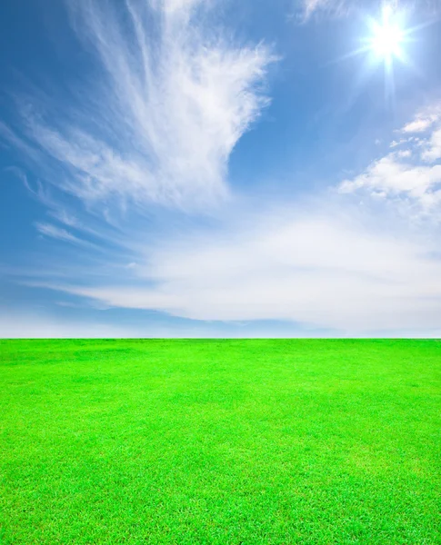 Літній фон з блакитним небом — стокове фото