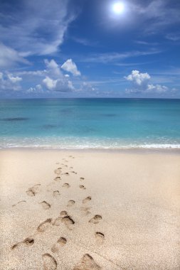 Beach and footprint clipart