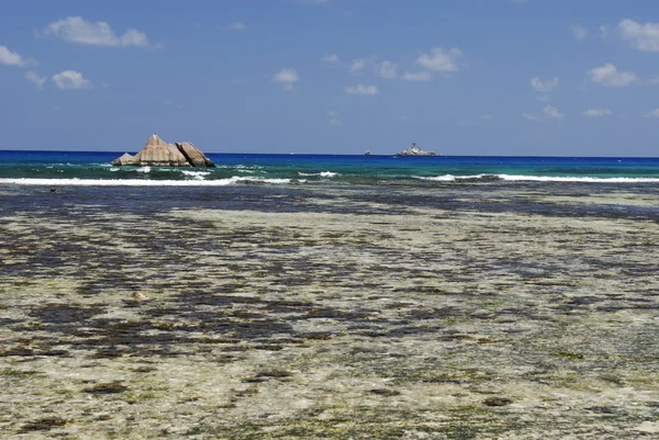 Seychelles ebb-tide — Stock Photo, Image