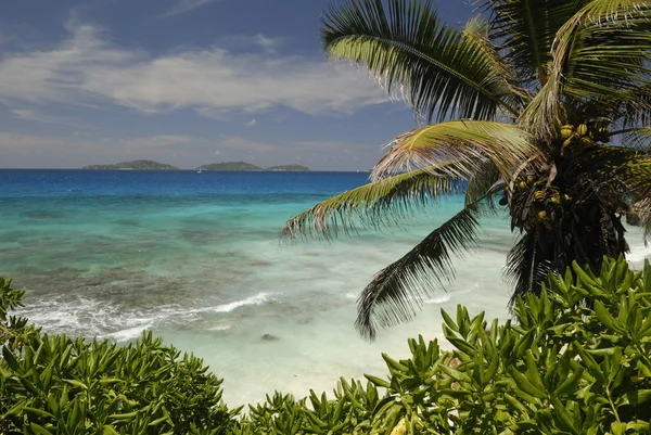 Seychelles rocky beach — Stock Photo, Image