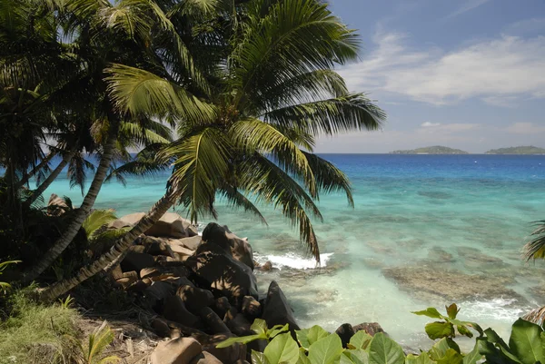 Seychelles playa rocosa —  Fotos de Stock