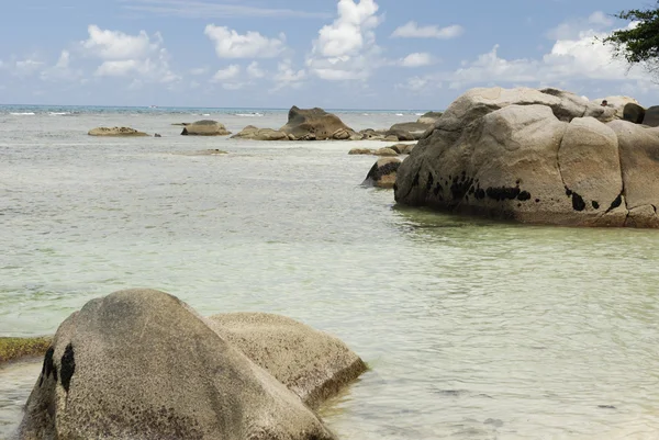 Seychelles playa rocosa — Foto de Stock