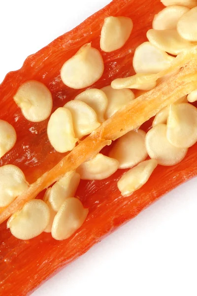 Spaanse peper zaden — Stockfoto
