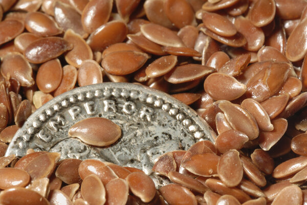 Flaxseed grain de lin