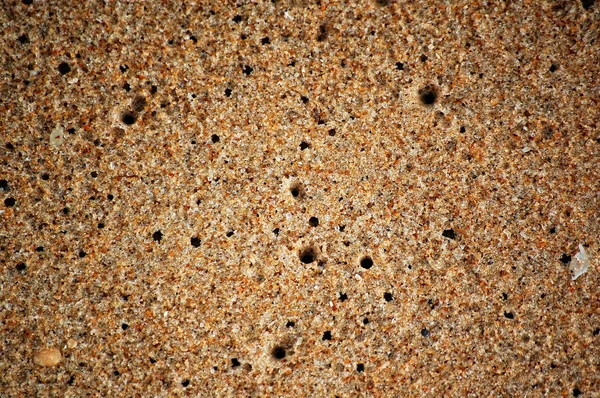 Textura mokrý písek — Stock fotografie