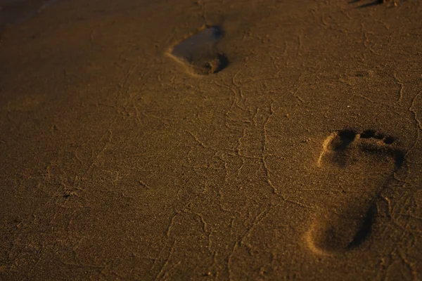 stock image Footprints in the sand