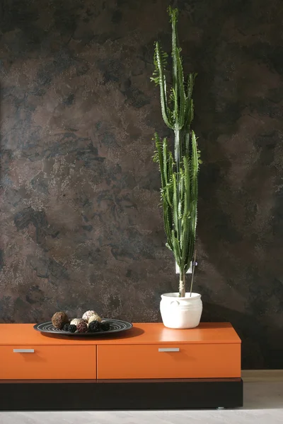 Wysokie kaktusowe na komoda z szufladami — Zdjęcie stockowe