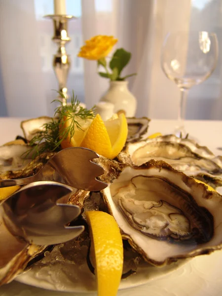 stock image Prepared oysters with lemon