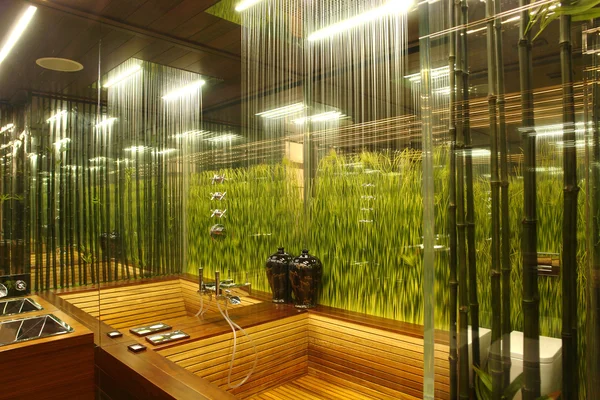 Intérieur d'une salle de bain avec l'herbe — Photo