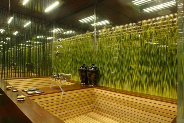 Intérieur d'une salle de bain avec l'herbe — Photo