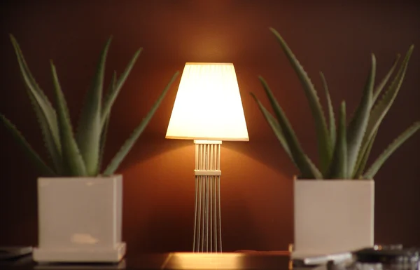Lampa w pobliżu ściany i roślin — Zdjęcie stockowe