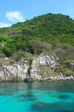 Tayland Asya adası Koh tao ao leuk