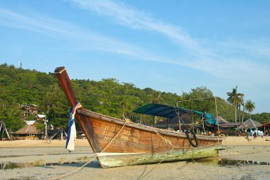 Tayland Asya phi phi Adası