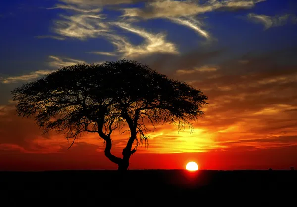 Coucher de soleil africain Images De Stock Libres De Droits