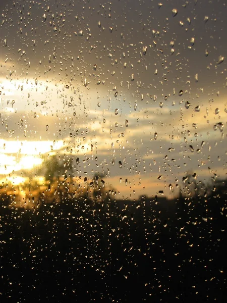 Belle gocce di pioggia — Foto Stock