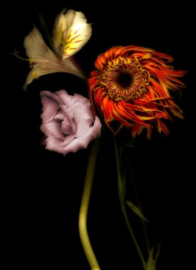 3 flowers on a black background clipart