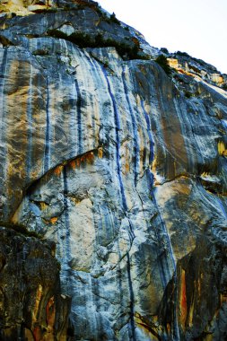 Yamaçtaki ağaçlar