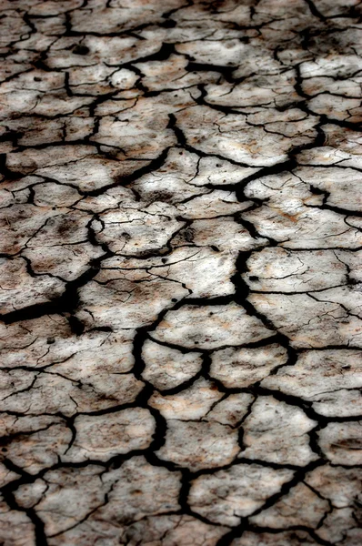 Large field of baked earth after a long drought — Stock Photo, Image